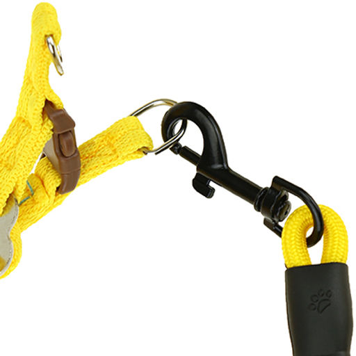 Поводок для собаки 125х0,5см со шлейкой, полиэстер Классический цвета микс (Китай) - Pet toys фото 2