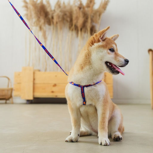 Комплект Super Dog, шлейка 26-39 см, поводок 120х1 см - Пушистое счастье фото 4