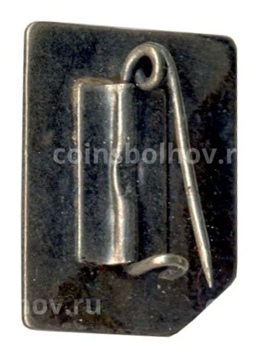 Значок Кострома