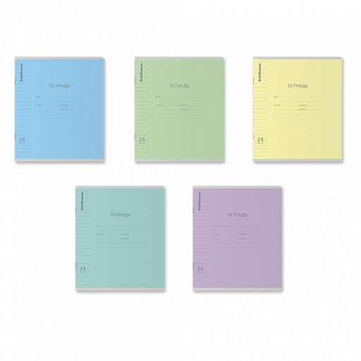 Цена за 160 шт. Тетрадь школьная ученическая ErichKrause Классика Visio ассорти, 24 листа, линейка (в плёнке по 10 шт.) фото 13