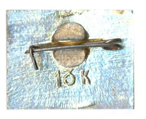 Значок Горький