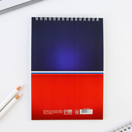 Цена за 2 шт. Блокнот, формат А5, 40 л., картонная обложка мягкая «Герб России»