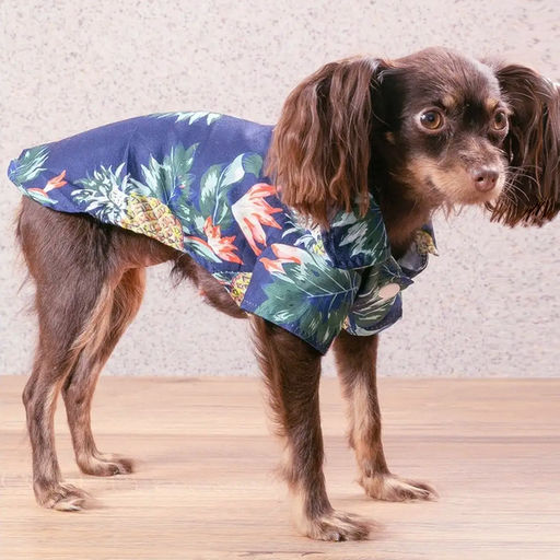 Рубашка для собак и кошек малых и средних пород "СТИЛЬНЫЙ БРО", цвет синий, принт ананасы с цветами, размер M