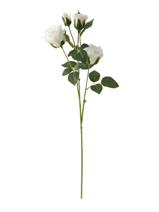 Цветы искусственные "Роза Августина галант" d-6 см 55 см, белый
