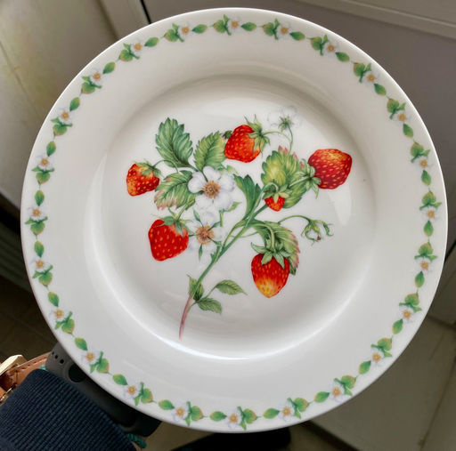 Тарелка закусочная Земляничная поляна, 21 см - Anna lafarg emily фото 6