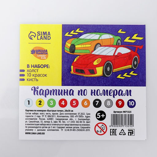 Картина по номерам Быстрые тачки 20х30 см - Школа талантов фото 6