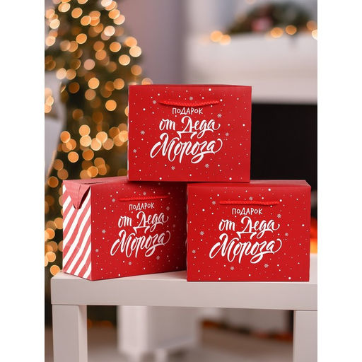Набор пакетов «Подарок», 3 шт, 23 × 18 × 11 см