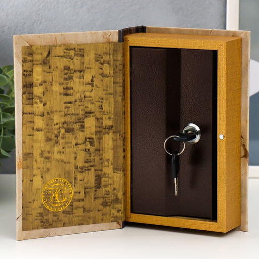 Шкатулка книга-сейф «Горе от ума», 21×13×5 см