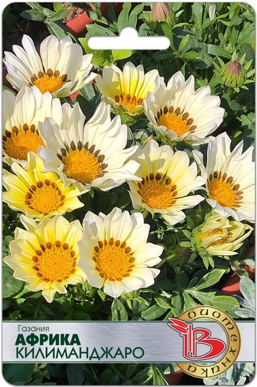 Газания Африка Фламинго - Биотехника фото 4