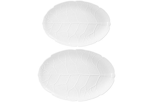 Набор 2 блюд овальных 31,5*21*2,5 см + 36,5*25*3 см Ботаника, фарфор - Elan gallery фото 3