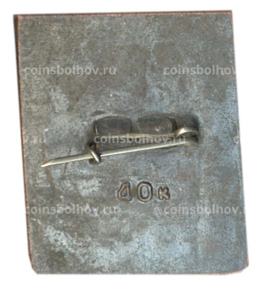 Значок Рига