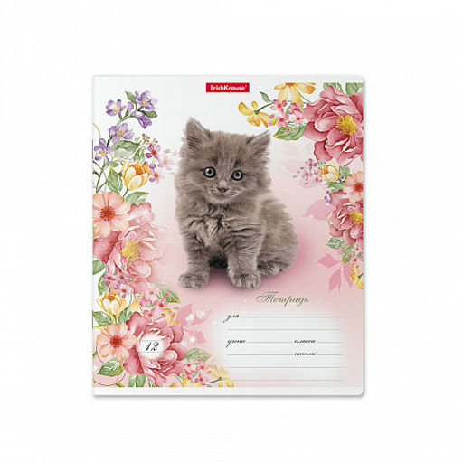 Цена за 280 шт. Тетрадь школьная ученическая ErichKrause Мурзики, 12 листов, клетка (в плёнке по 10 шт.)  фото 17