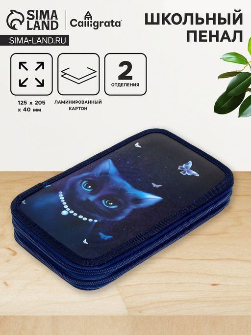 Пенал школьный, 2 секции, 12.5×20.5×4 см «Кошечка»