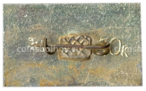 Значок Карпаты