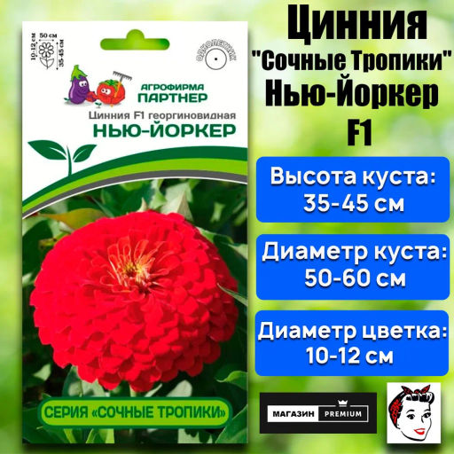 Цинния георгиновидная Сочные тропики Нью-Йоркер - Партнер фото 2