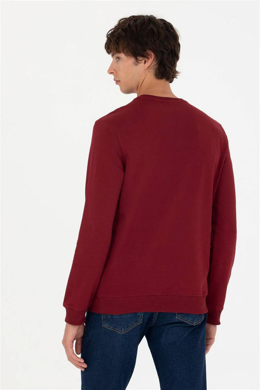 U. S. Polo Assn / Мужской бордово-красный базовый свитшот - U.s. polo assn фото 12