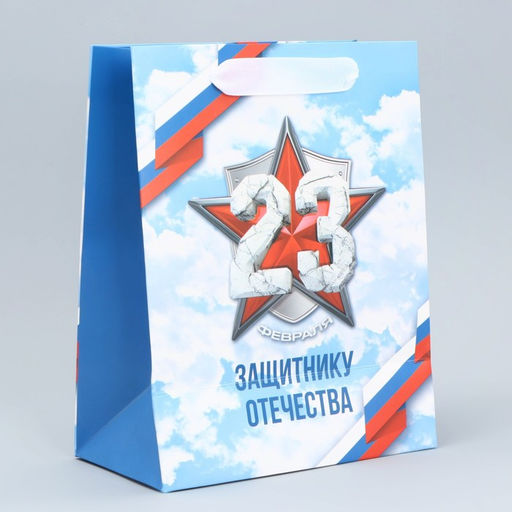 Цена за 2 шт. Пакет подарочный ламинированный, упаковка, «С 23 февраля», MS 18×23×10 см