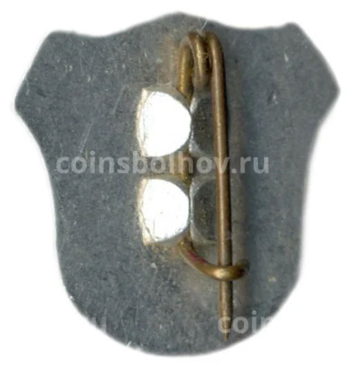 Значок Рига