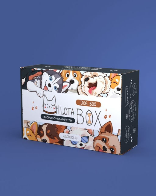 MilotaBox "Dog Box"