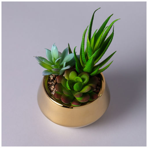 СУККУЛЕНТ ИСКУССТВЕННЫЙ В ГОРШКЕ 11*15СМ - Lefard фото 2