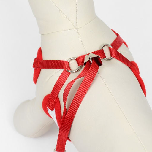 Комплект с мягкой шлейкой и бантиком, размер L, поводок 120 x 1,5 см, ОГ 35-50 см, красный - Пижон фото 4