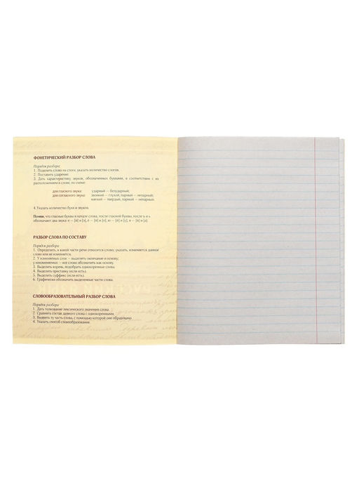 Тетрадь предметная Металл, 48 листов в линейку Русский язык со справочным материалом, обложка мелованный картон, блок №2, белизна 75% (серые листы) - Calligrata фото 6