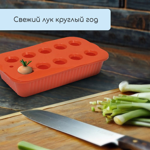 Цена за 2 шт. Ящик для выращивания зелёного лука, 29×16×8.5 см, 2.5 л, 10 лунок, пластик, оранжевый, Greengo