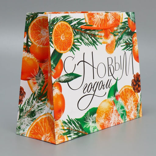 Пакет ламинированный горизонтальный Цитрусовый коктель, MS 23 18 8 см - Доступные радости фото 2