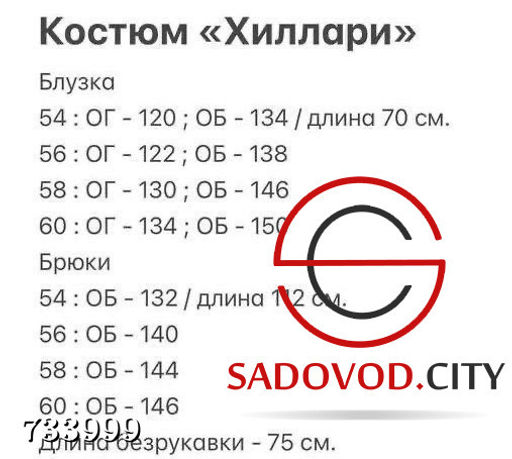 Элегантный костюм тройка женский - Bruno фото 7