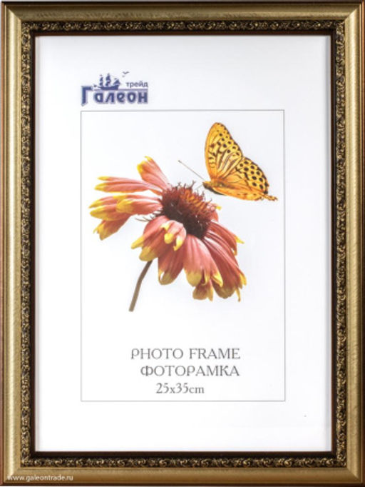 Фоторамка 25х35 / 10012-3 /