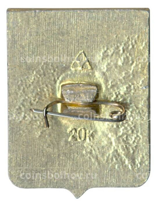 Значок Кострома