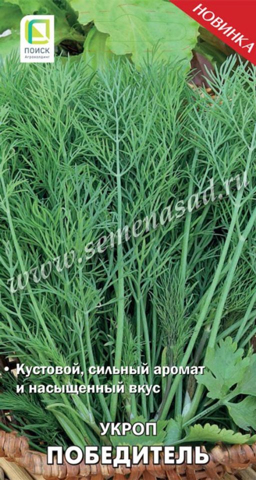 Укроп Победитель (А) (ЦВ) 2гр.