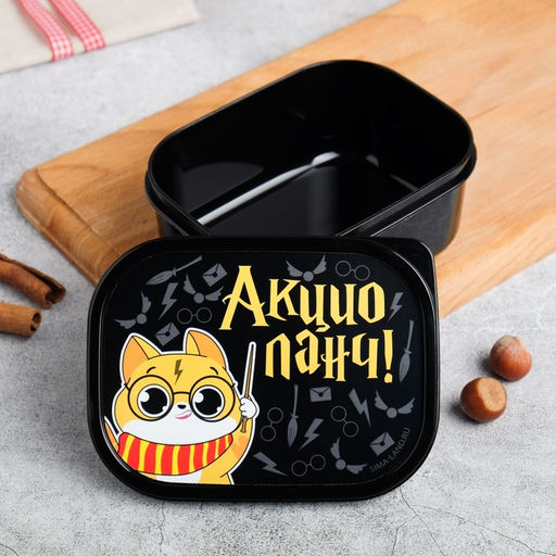 Ланч - бокс прямоугольный Акцио ланч, 500 мл