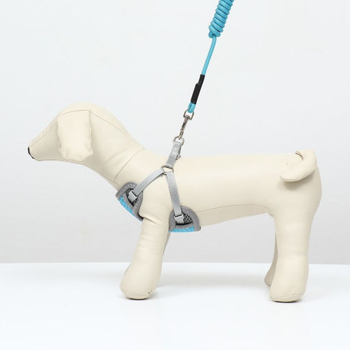 Комплект амуниции с мягкой дышащей шлейкой и круглым поводком 120 х 1 см, голубой - Пижон фото 6