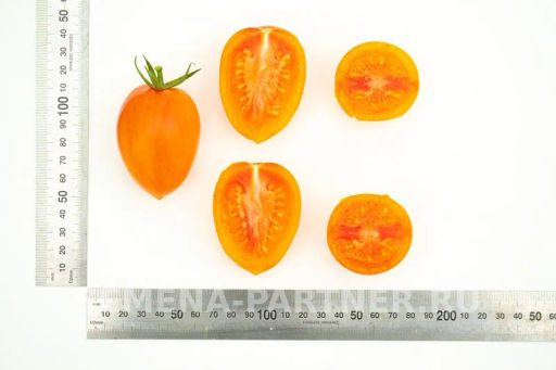 Томат Барокко - Партнер фото 6