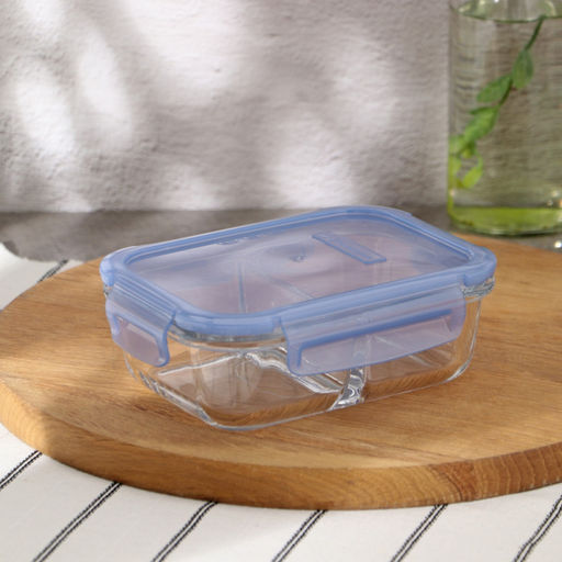 LACY&LOCK FOOD Контейнер 630мл. 2 секции с крышкой , арт. 530276BL/GR (1118891, 1118889)