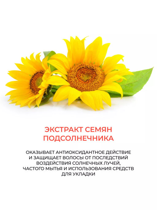 CARE Шампунь сохраняющий цвет и блеск окрашенных волос 250 мл OLLIN