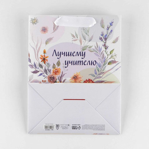 Цена за 2 шт. Пакет подарочный ламинированный, упаковка, «Лучшему учителю», MS 18×23×10 см