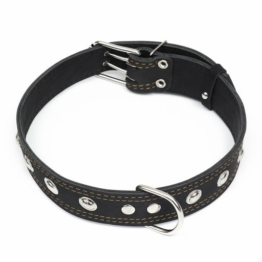 Ошейник кожаный двухслойный украшенный, 85 х 4.5 см, ОШ 50-70 см, чёрный - Пижон фото 2