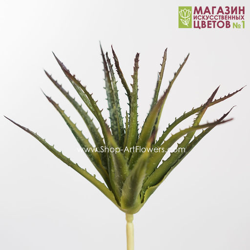 188 Алоэ 23 см - Без тм фото 2