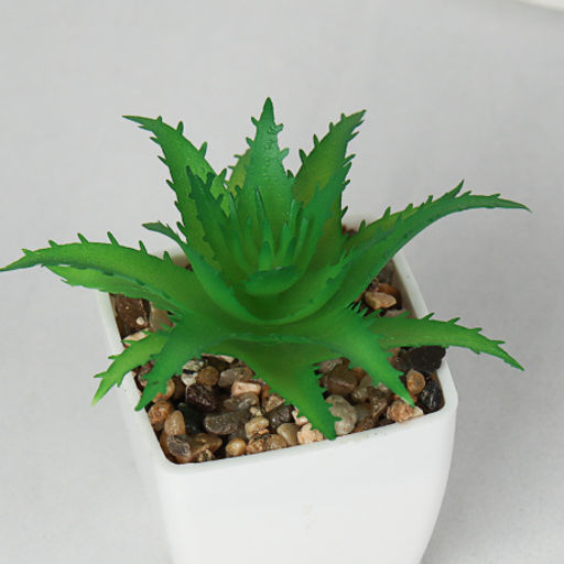 Цветочная композиция Кактус / WER-19 /уп 12/192/ микс - Галеонтрейд фото 13