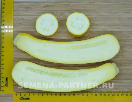 Кабачок Желтоплодный - Партнер фото 6