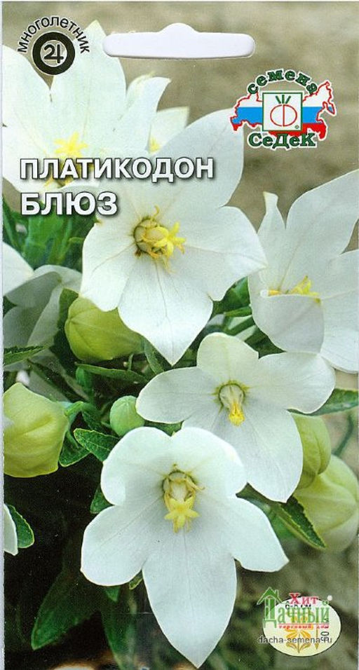 Платикодон Блюз (белый) 0,1г (СеДеК)