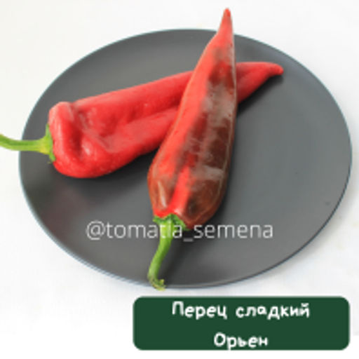 Перец Орьен - Tomatia фото 2
