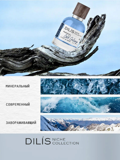 Dilis Cold Galaxy Духи экстра Dilis Niche Collection для мужчин 50 мл  фото 2