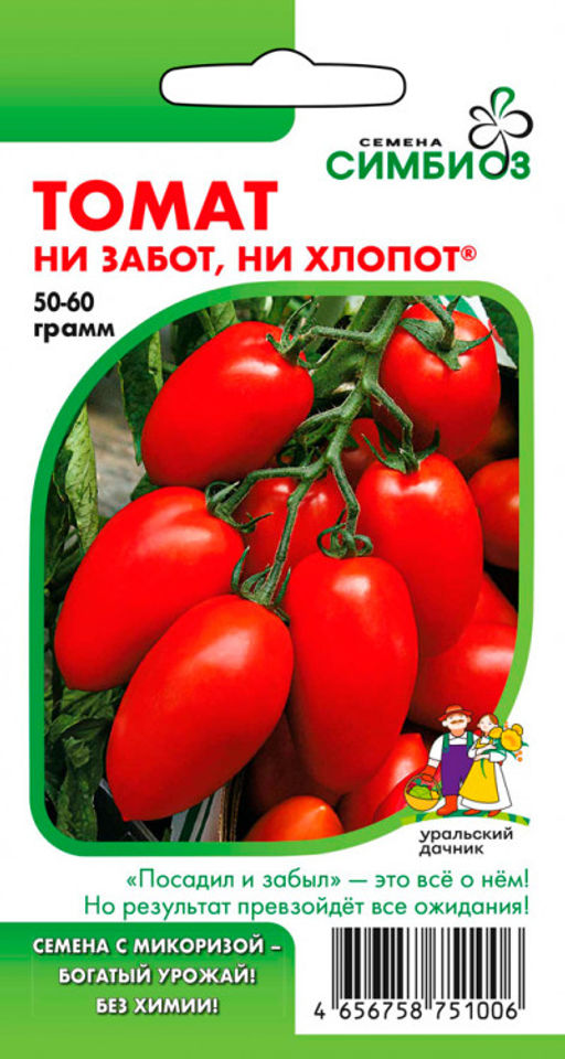 Томат НИ ЗАБОТ, НИ ХЛОПОТ  Посадил и забыл  это всё о нём! Но результат превзойдет все ожидания! - Уральский дачник фото 4