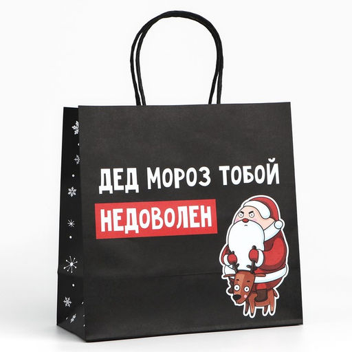 Цена за 2 шт. Пакет подарочный новогодний «Подарок, который ты заслужил», 22×22×11 см