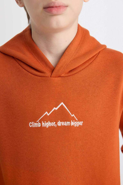 Толстовка обычного кроя с капюшоном и принтом на спине для мальчиков с вышивкой - Defacto фото 7