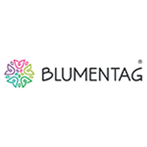 Blumentag VDD-76 Веточка декоративная 6 х 1 шт. 70 см 01 с блестками