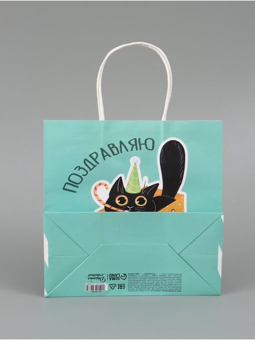 Цена за 2 шт. Пакет подарочный «Поздравляю», 22 × 22 × 11 см